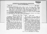Image Associated With the Occurence